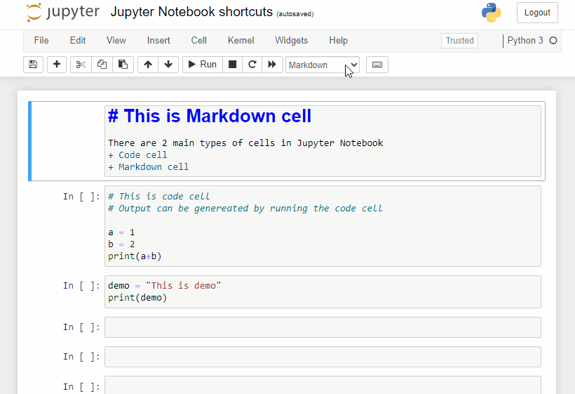 Interface of Jupyter Notebook