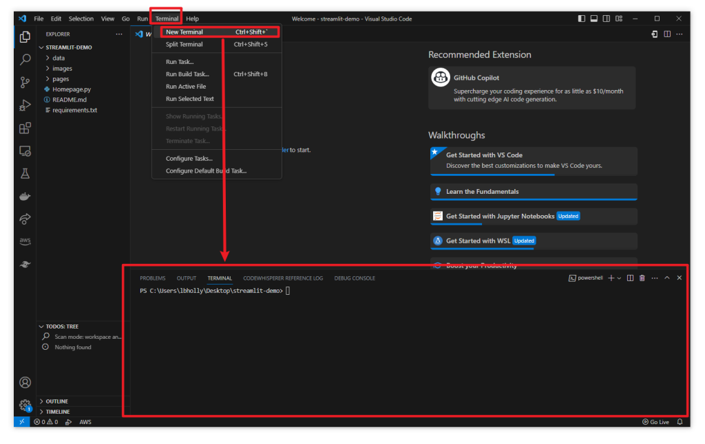 Open terminal in VS code